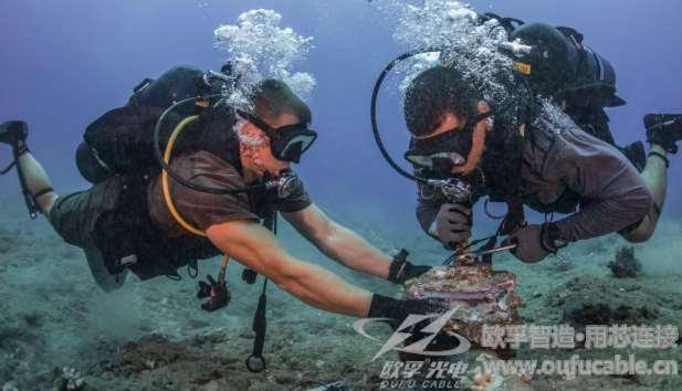 香蕉视频成人电影香蕉一级视频生产厂家 香蕉一级视频布线敷设方式有哪些