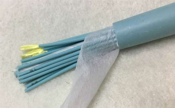 室内分支香蕉一级视频GJBFJH-8b1结构特点